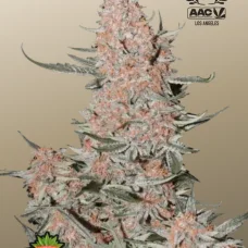 ZTRAWBERRIEZ Auto